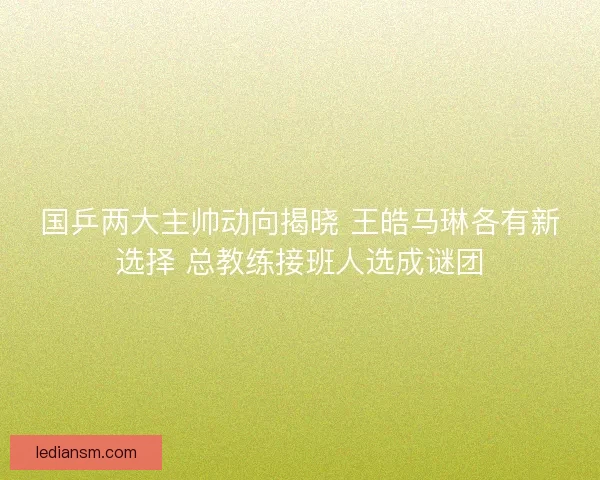国乒两大主帅动向揭晓 王皓马琳各有新选择 总教练接班人选成谜团